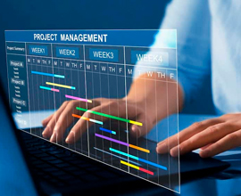 2025_INSPEC_WEB_Gestion_01